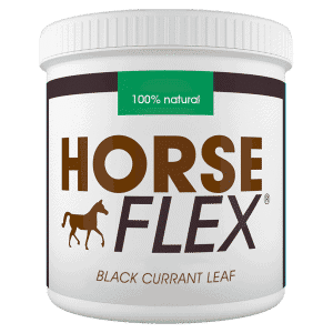 Black Currant Leaf horse