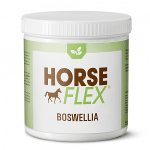 Boswellia voor paarden