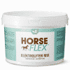 electrolytes for horses