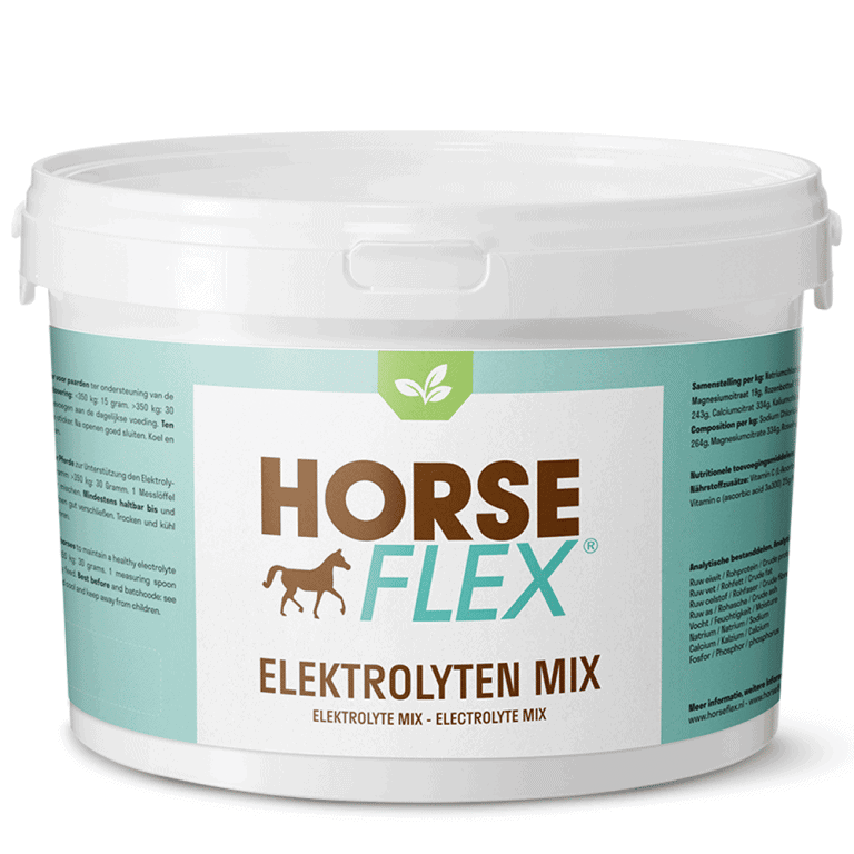 Electrolyte mix for horses HorseFlex