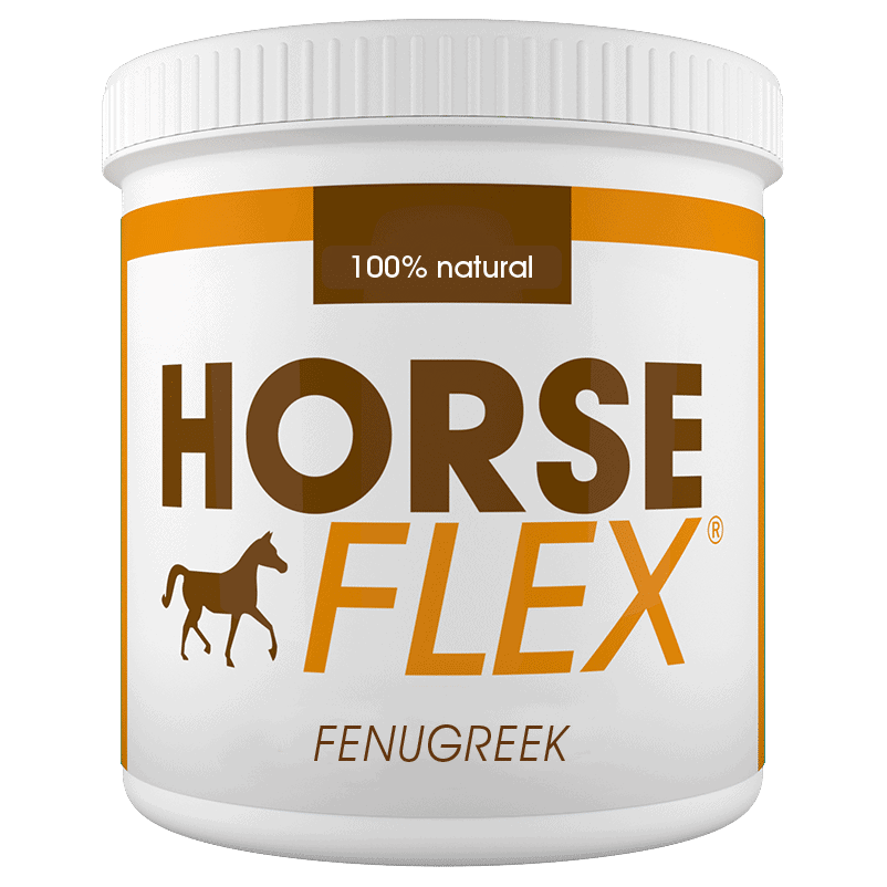 Fenugreek horse