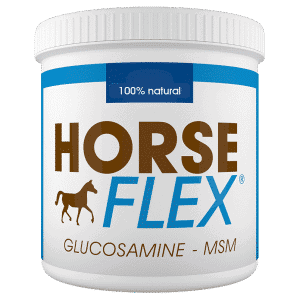 glucosamine-msm horse