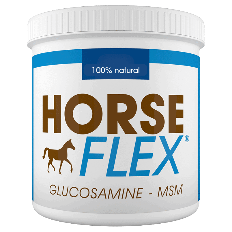 glucosamine-msm horse