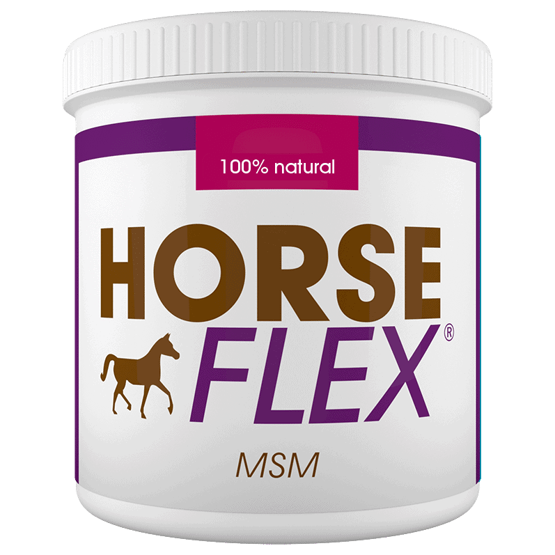 MSM for horses
