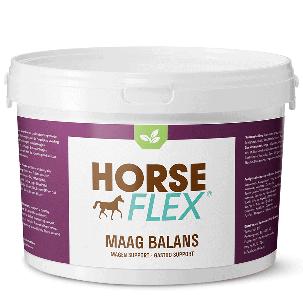 Stomach balance for horses