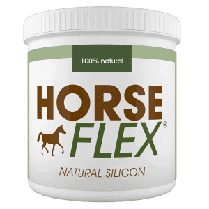 Natural Silicon horse