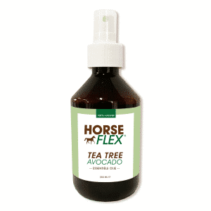 Tea Tree Avovado oil for horses