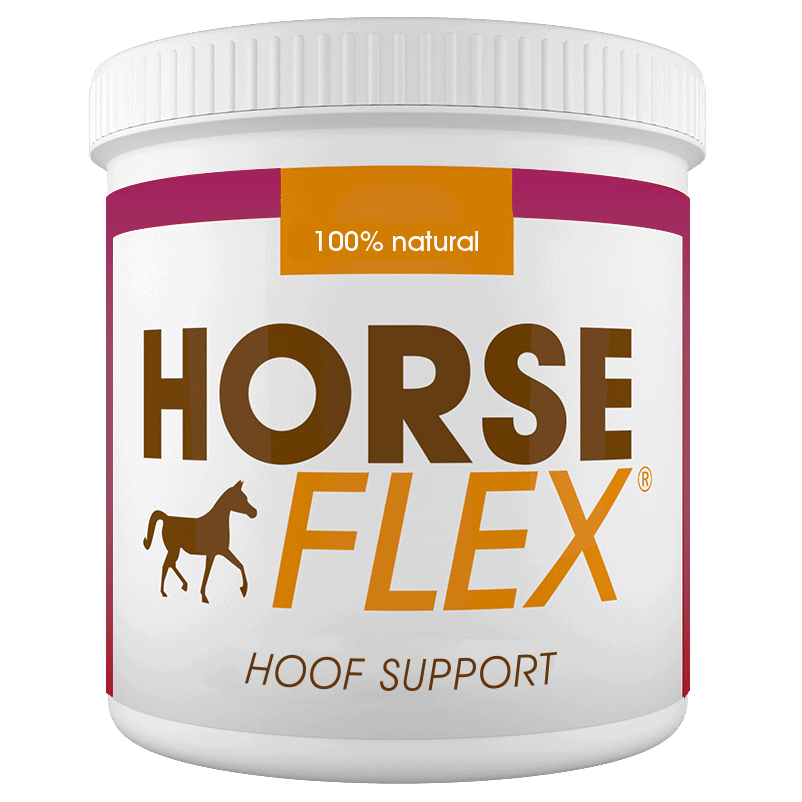 Hoof Support for horses