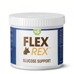 Glucose Support for dogs