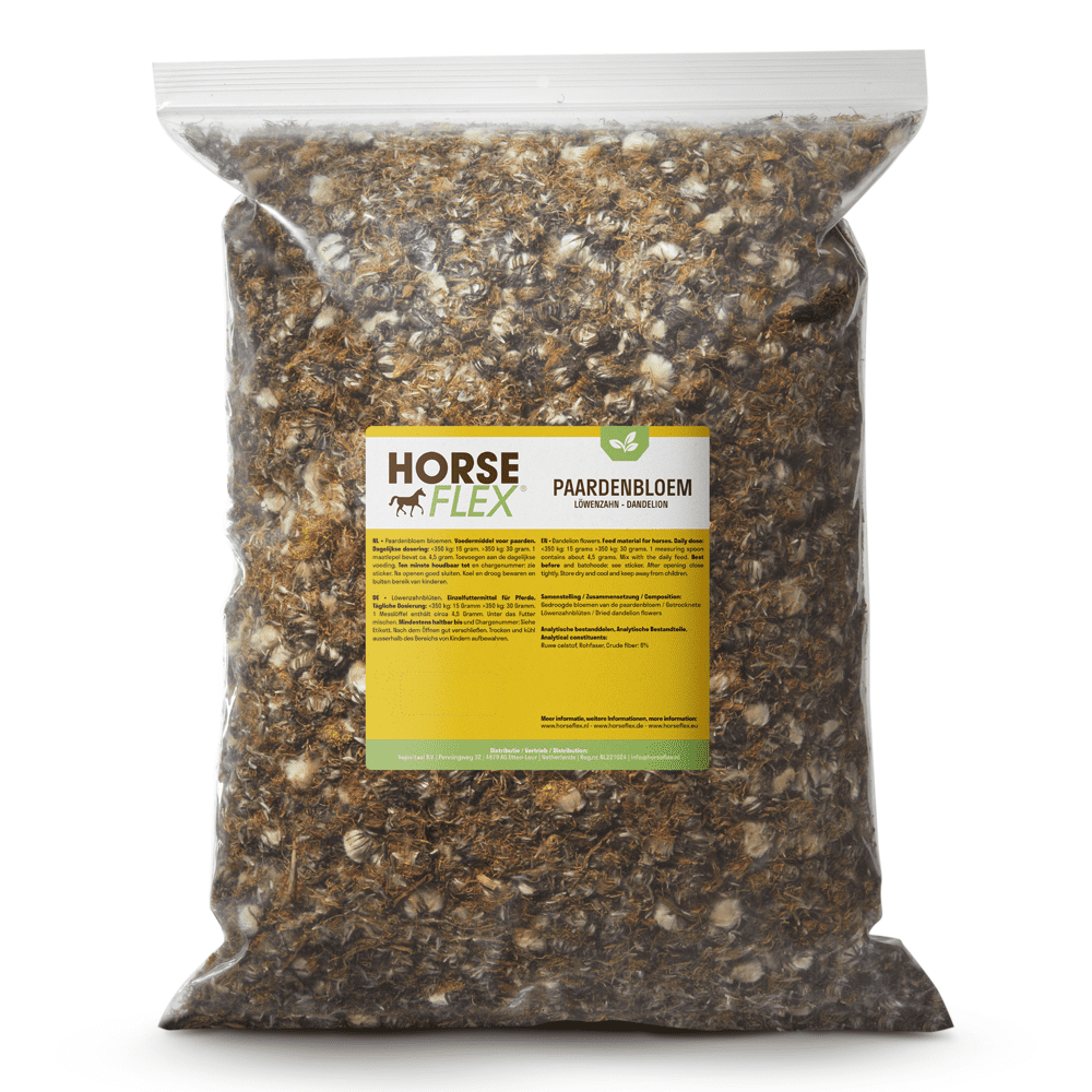 Dandelion for horses