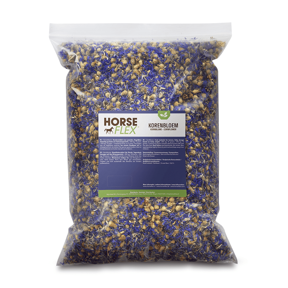 Cornflower for horses