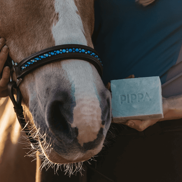 paardenshampoo